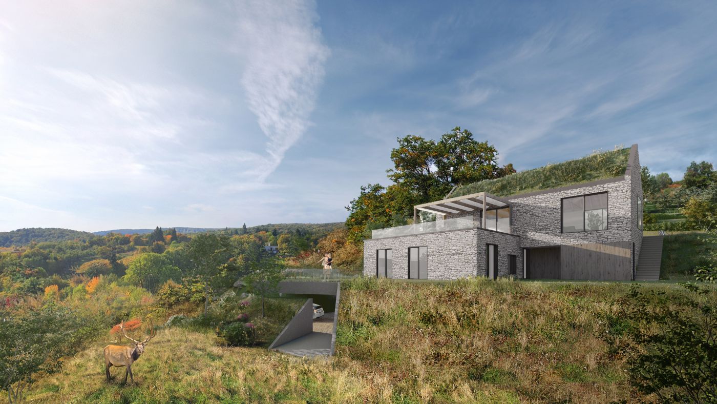 Architekti.sk | Dom pri vinici, moderné projekty domov, park, dizajn